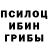 Псилоцибиновые грибы Psilocybine cubensis Slash zilla