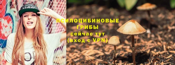 скорость Алзамай