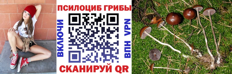 Псилоцибиновые грибы ЛСД  магазин    Котово 